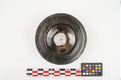 Foto von Bronzephalere (NHMW-PRAE-025105)